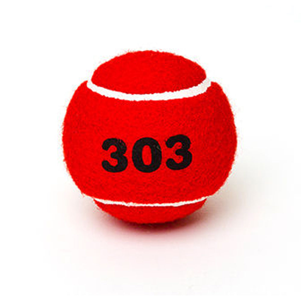 Wish Training 303 Tennis Ball 12pcs (Red)