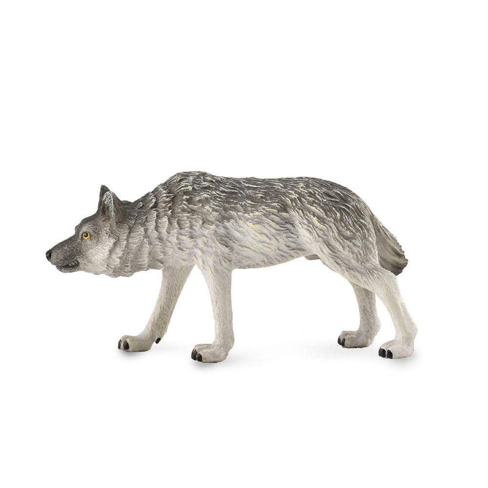 Collecta Timber Wolfフィギュア(ミディアム)