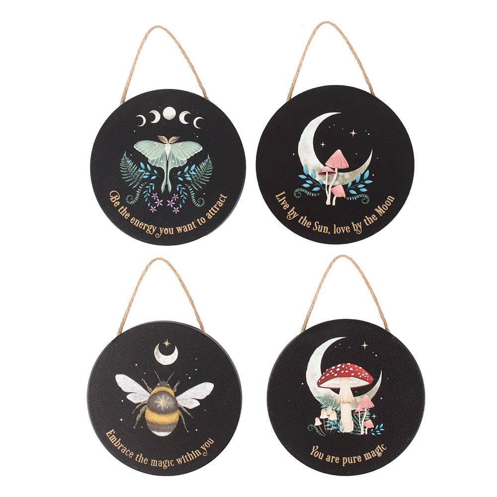 Set of 24 Dark Forest Signs (Set of 24)