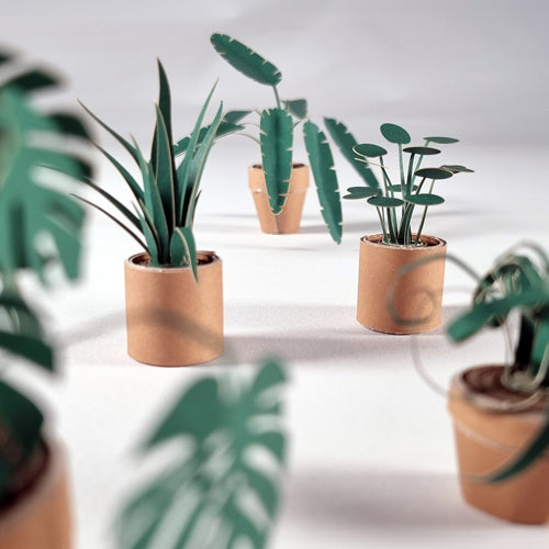 Pikkii Paper Plants Origami (Set of 5)