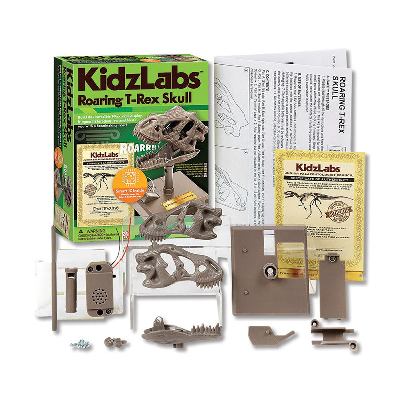4M KidzLabs Roaring T-Rex Skull