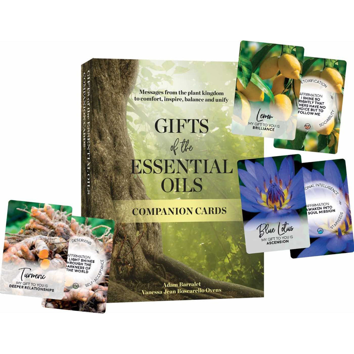 Gifts of the Essential Oils Companion Cards